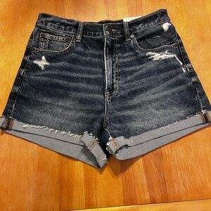 American Eagle womens NWT Highest Rise 90s Boyfriend Shorts  8, 29x3” Denim